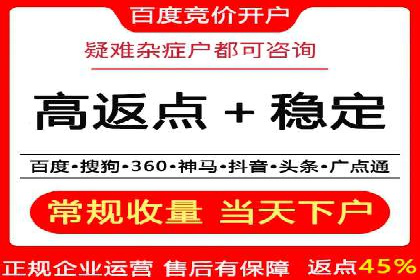 百度推广的投放策略与效果分析
